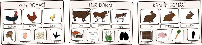 informační karty domácí zvířata